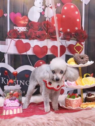 20250216サージュちゃん